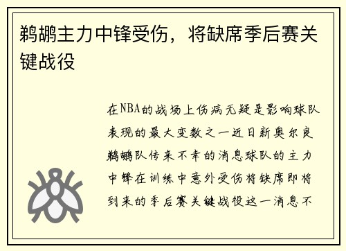 鹈鹕主力中锋受伤，将缺席季后赛关键战役