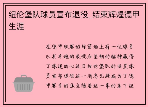 纽伦堡队球员宣布退役_结束辉煌德甲生涯