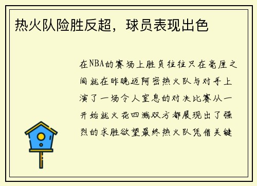 热火队险胜反超，球员表现出色