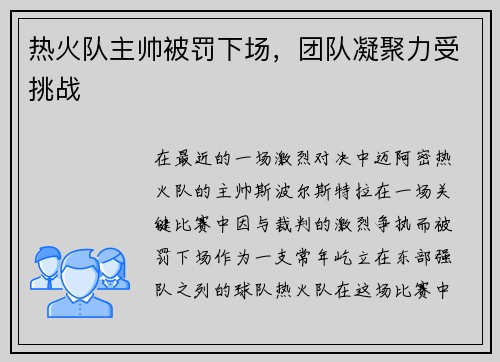 热火队主帅被罚下场，团队凝聚力受挑战