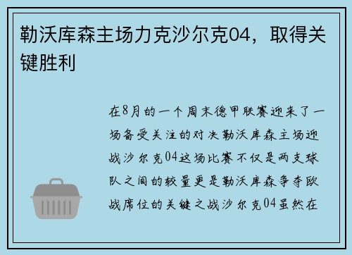 勒沃库森主场力克沙尔克04，取得关键胜利